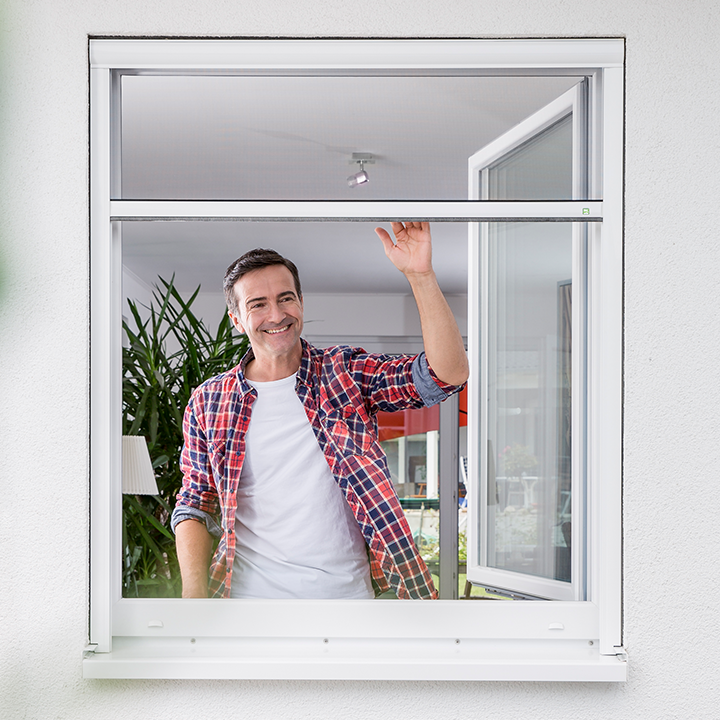 fenster_rollo2